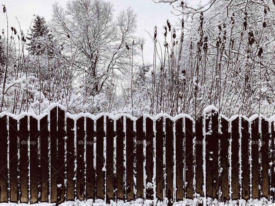 Winter, Snow, Fence, Desktop, Old