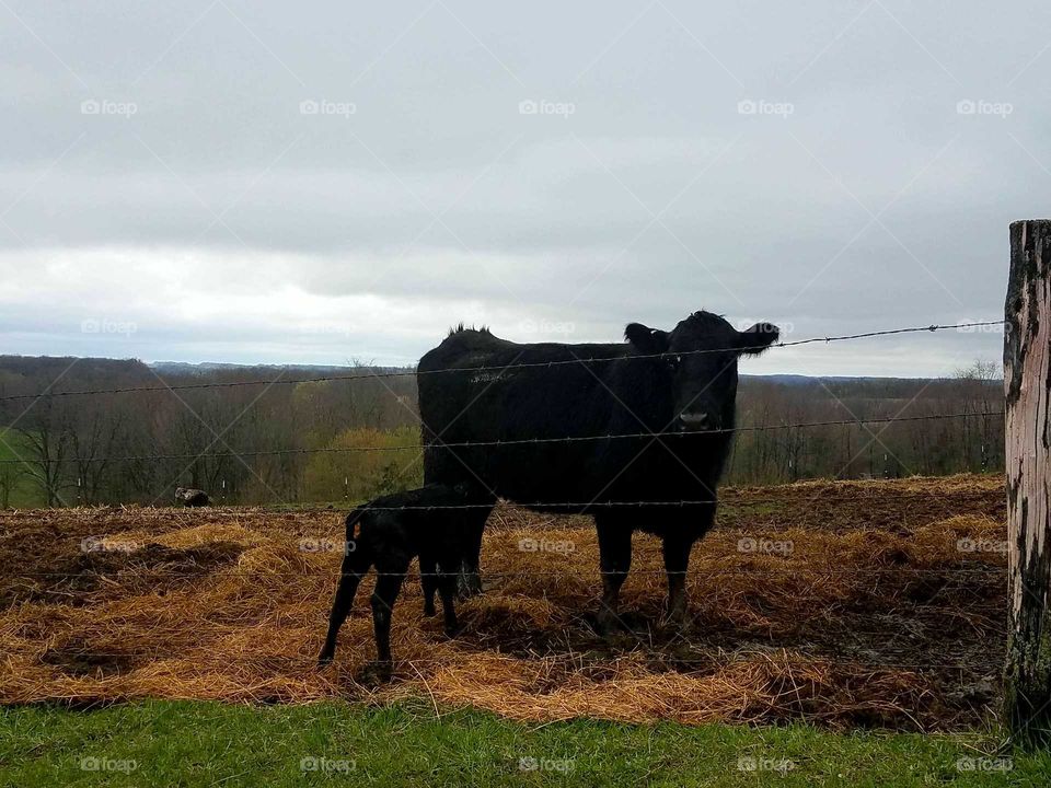 Driving the Back Roads and enjoying everything around us