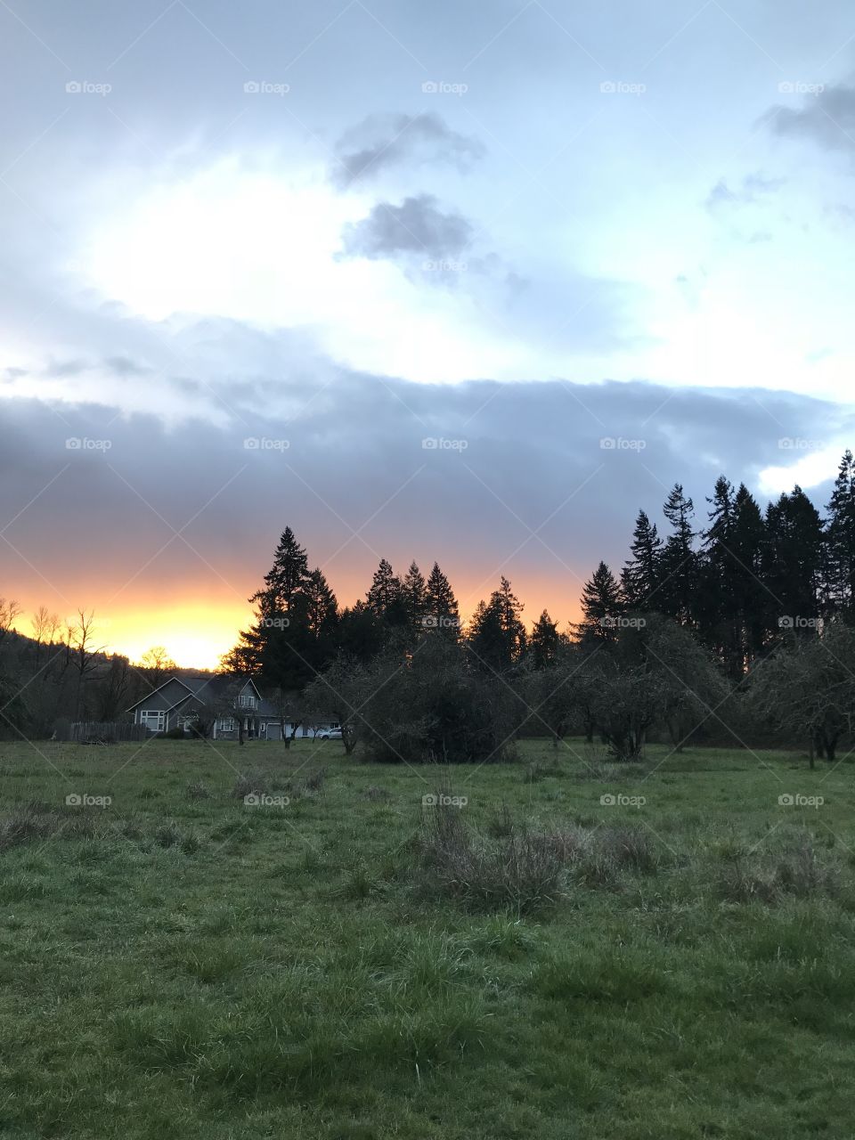 Oregon Sunrise Over the Pines