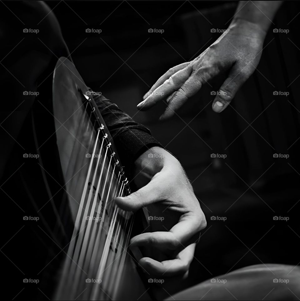 Playing the lute. Hands. Always beautiful in black and white