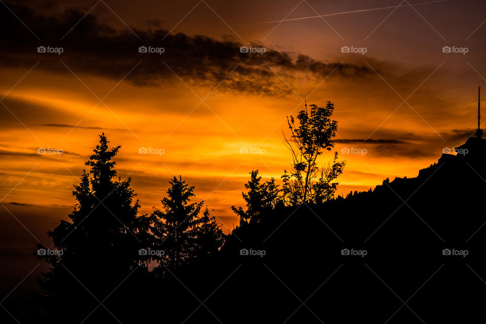 Beautiful orange sunrise with silhouette of trees and bushes. 