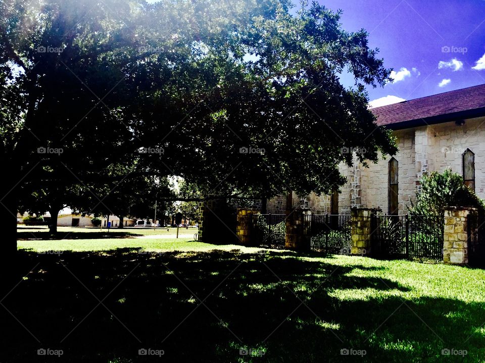 Old tree and church in Texas