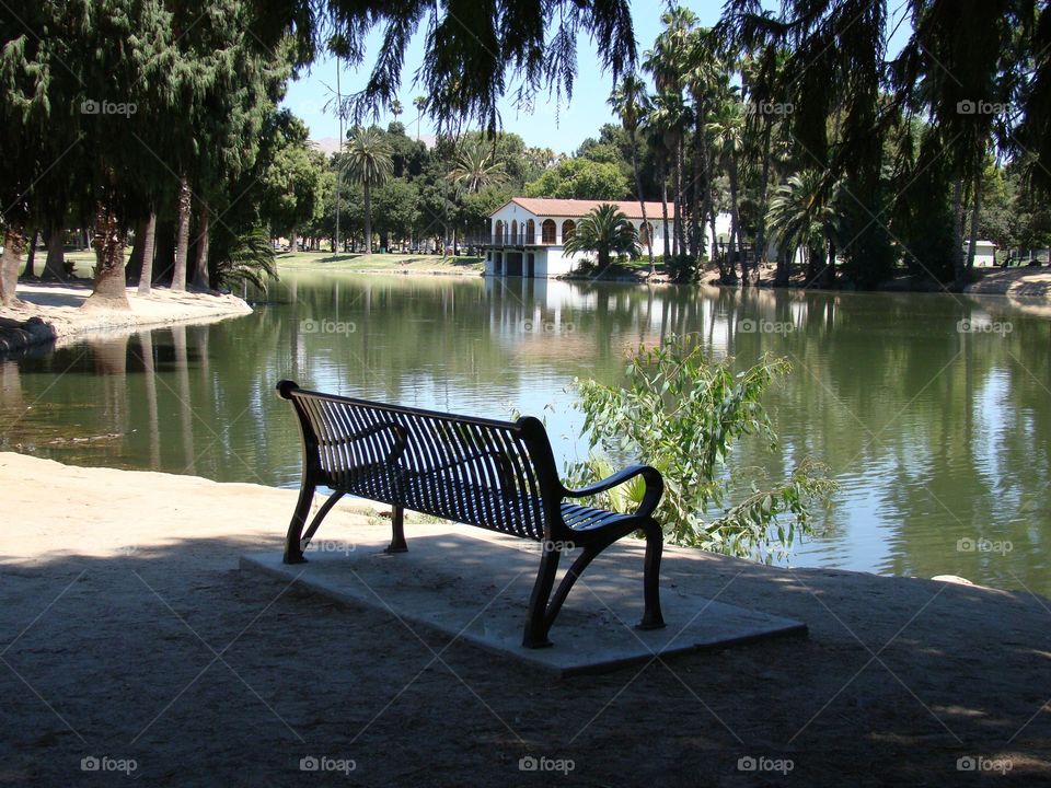 Bench on the lake