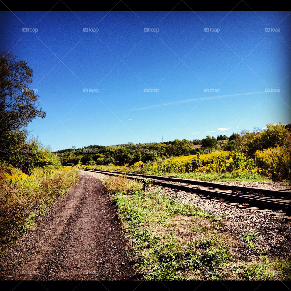 train road country tracks by jelinc