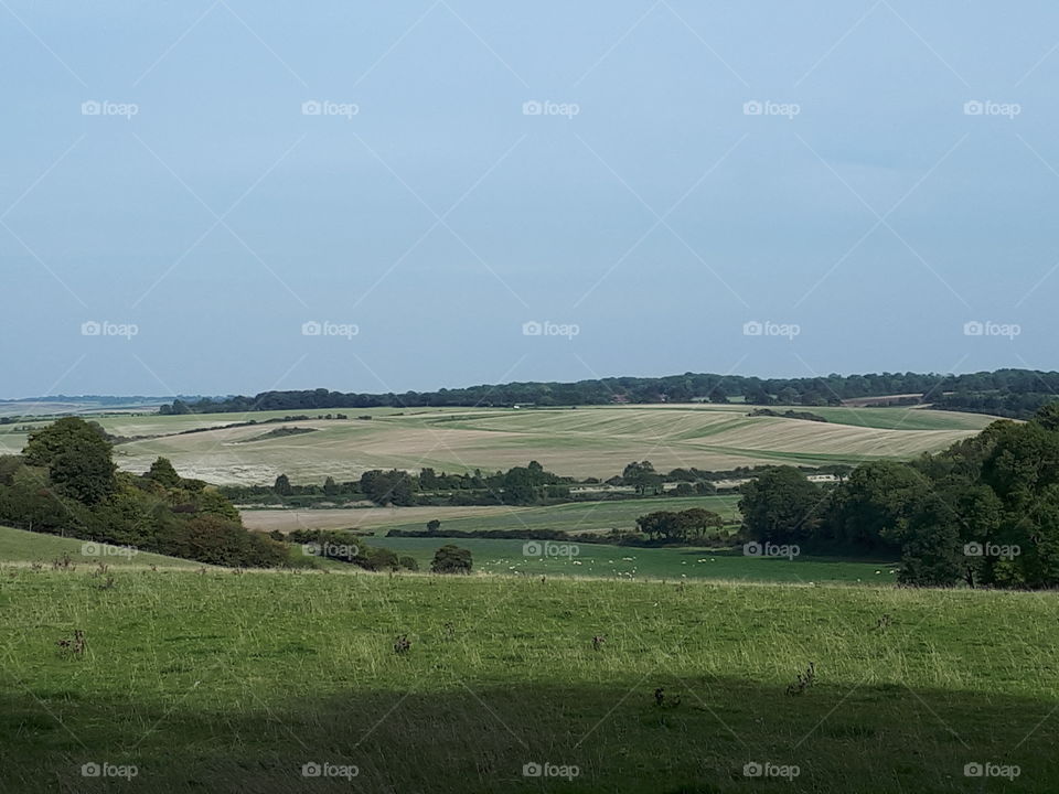 English Countryside