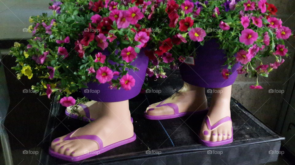 Flip Flop Planter