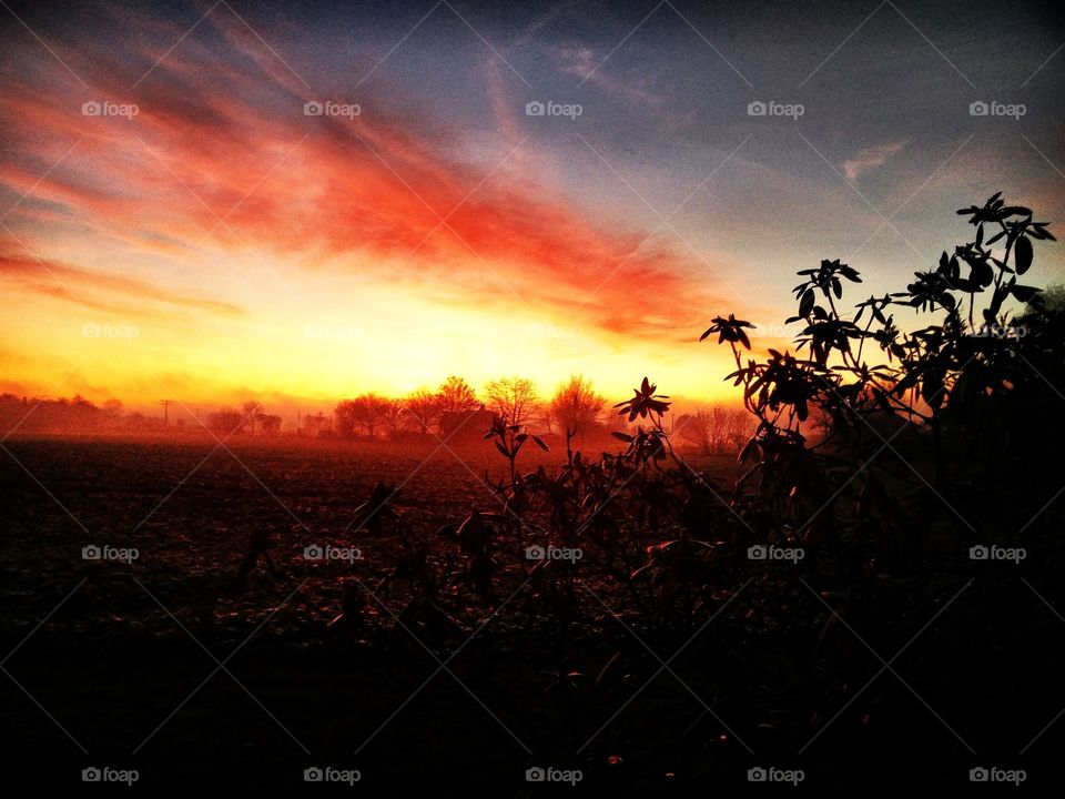 Sunset at the Balticsea