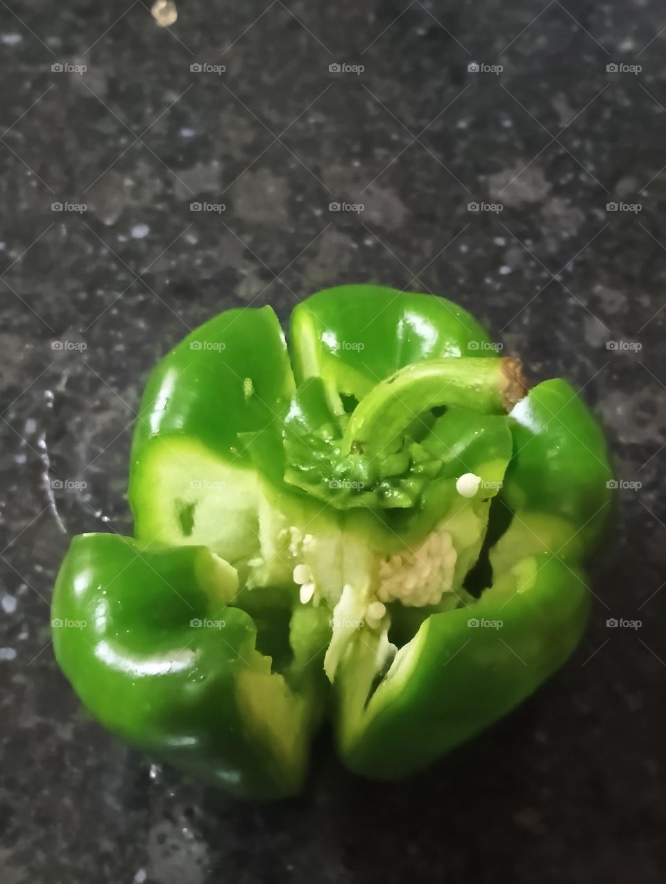 Capsicum
