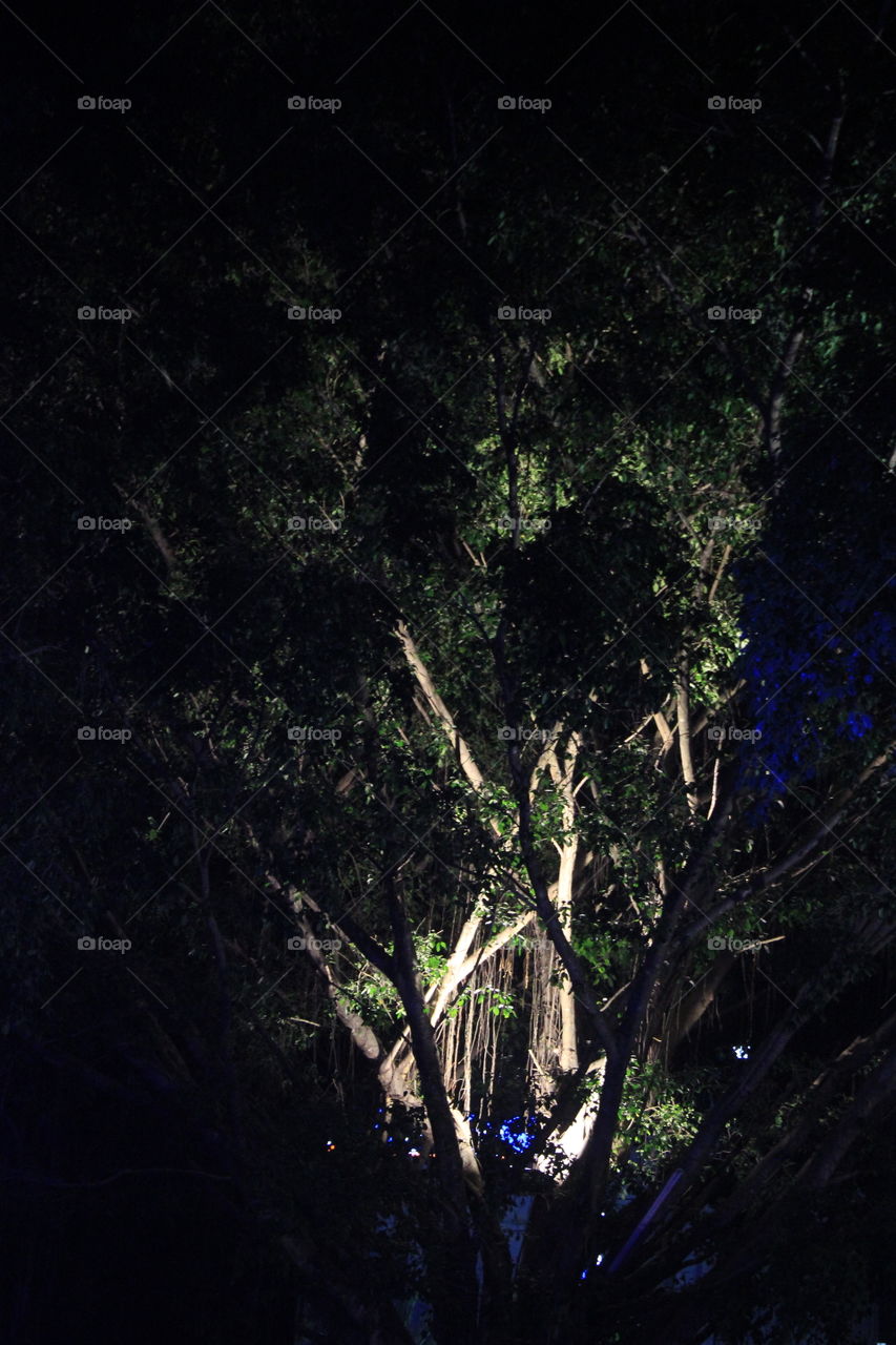 At Bung Karno's Park in Ende City, Flores Island, Indonesia