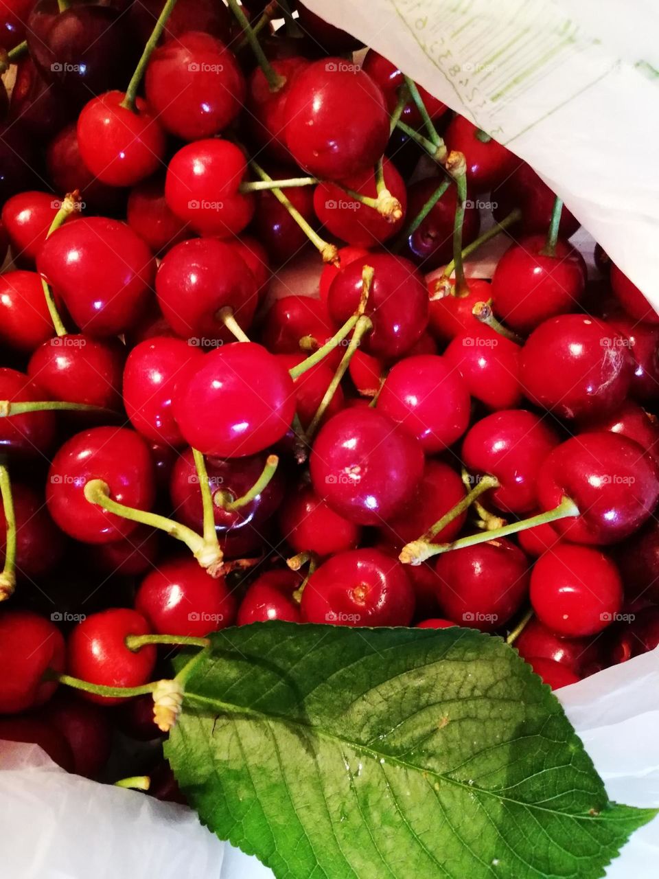 freshly picked red cherries