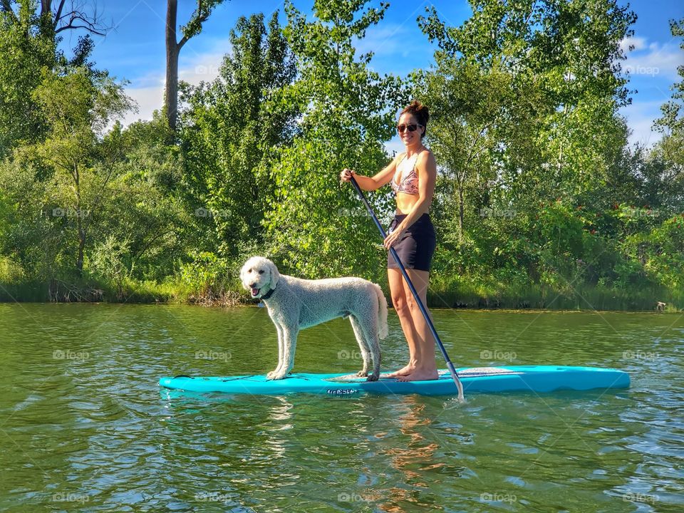 gorgeous woman and dog on paddleboard