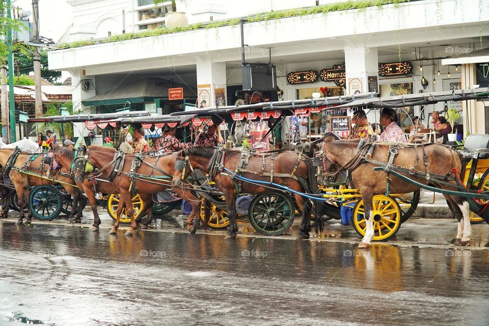 horse drawn vehicle (delman), carriage pull by horse to  explore the area