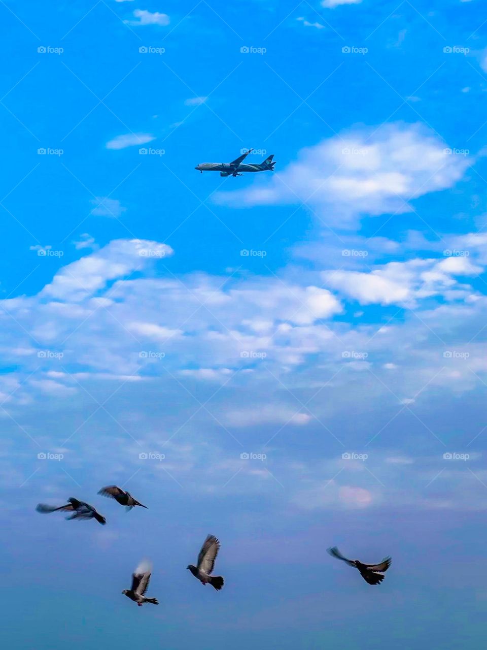 An airplane soars high in the sky above a flock of pigeons in flight.