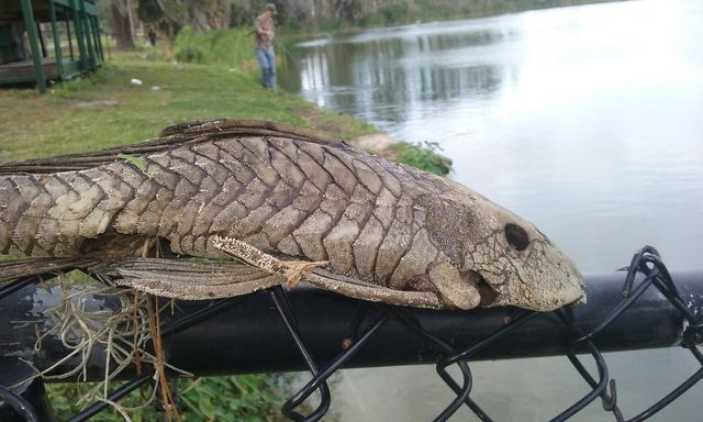 Fishing is life