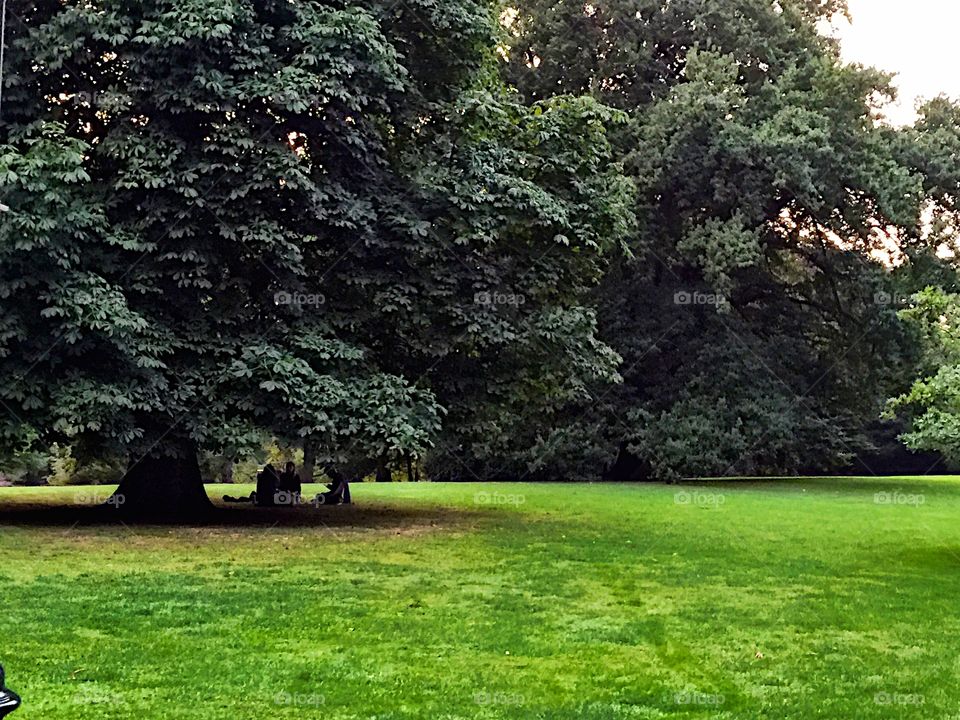 Relaxing under the tree! 