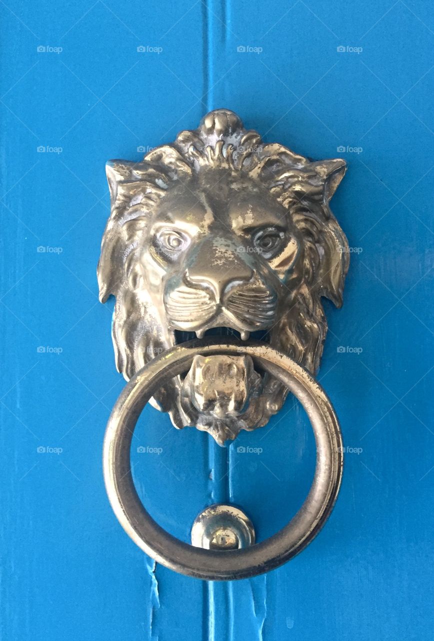Doorknob lion 