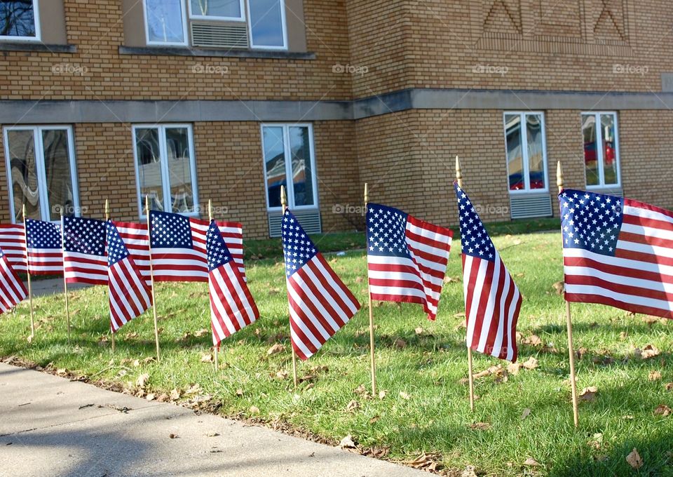 American flags beside the sidewalk of a school