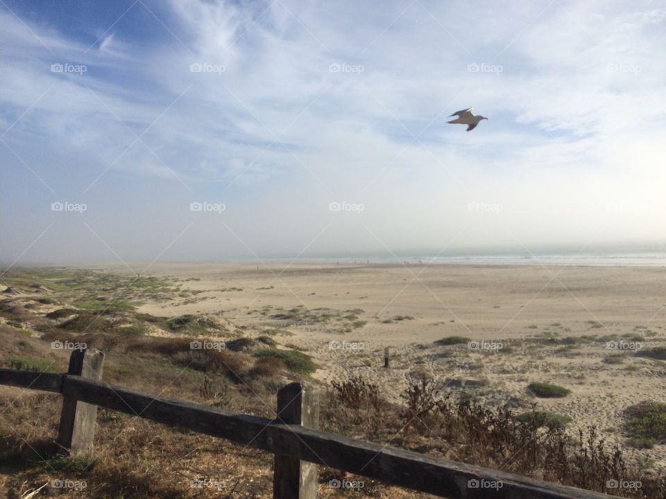 Morro Strand State Beach