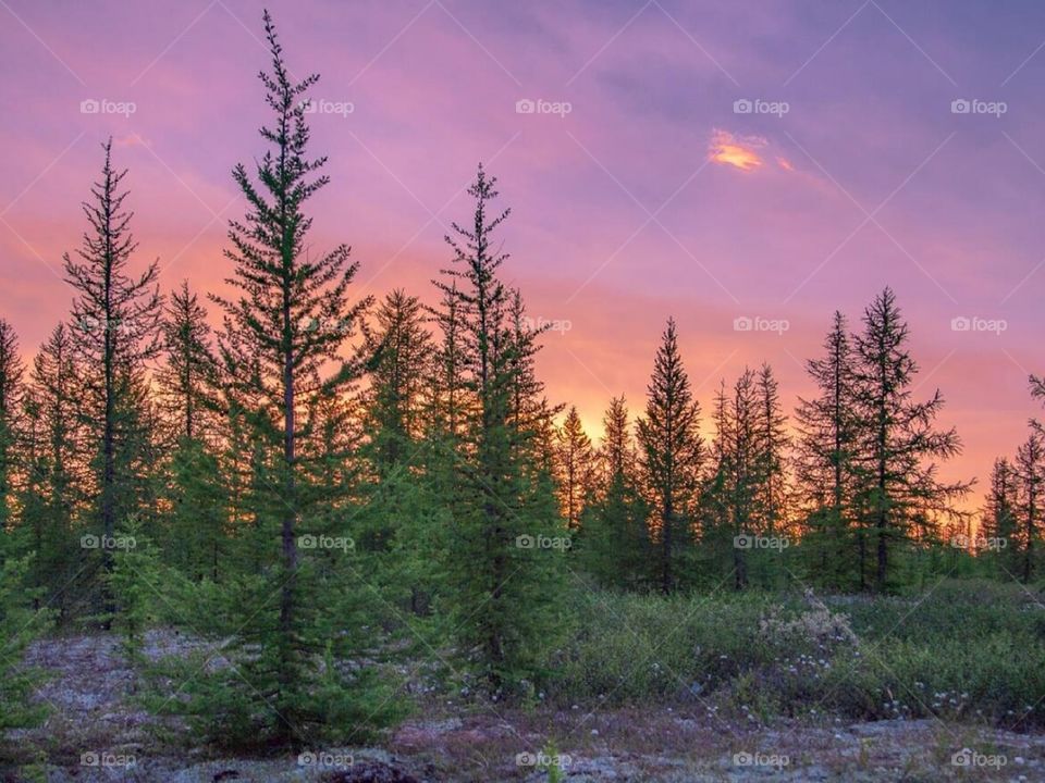 Красота природы