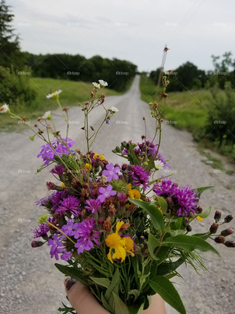 Wild flowers framed by vintage country gravel road