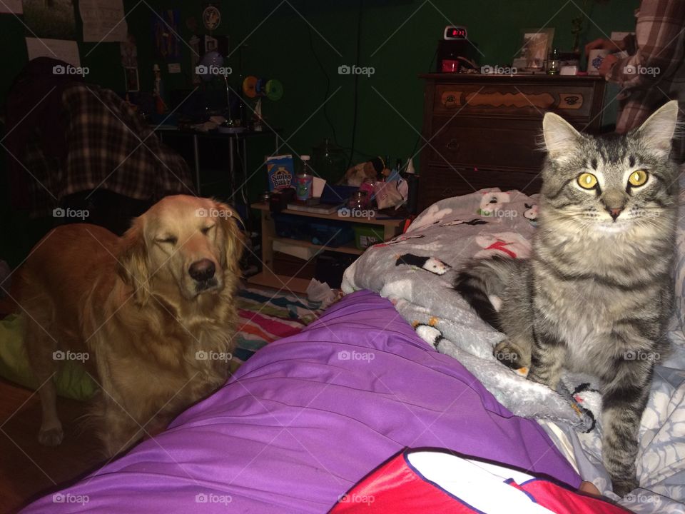 Someone is being shy