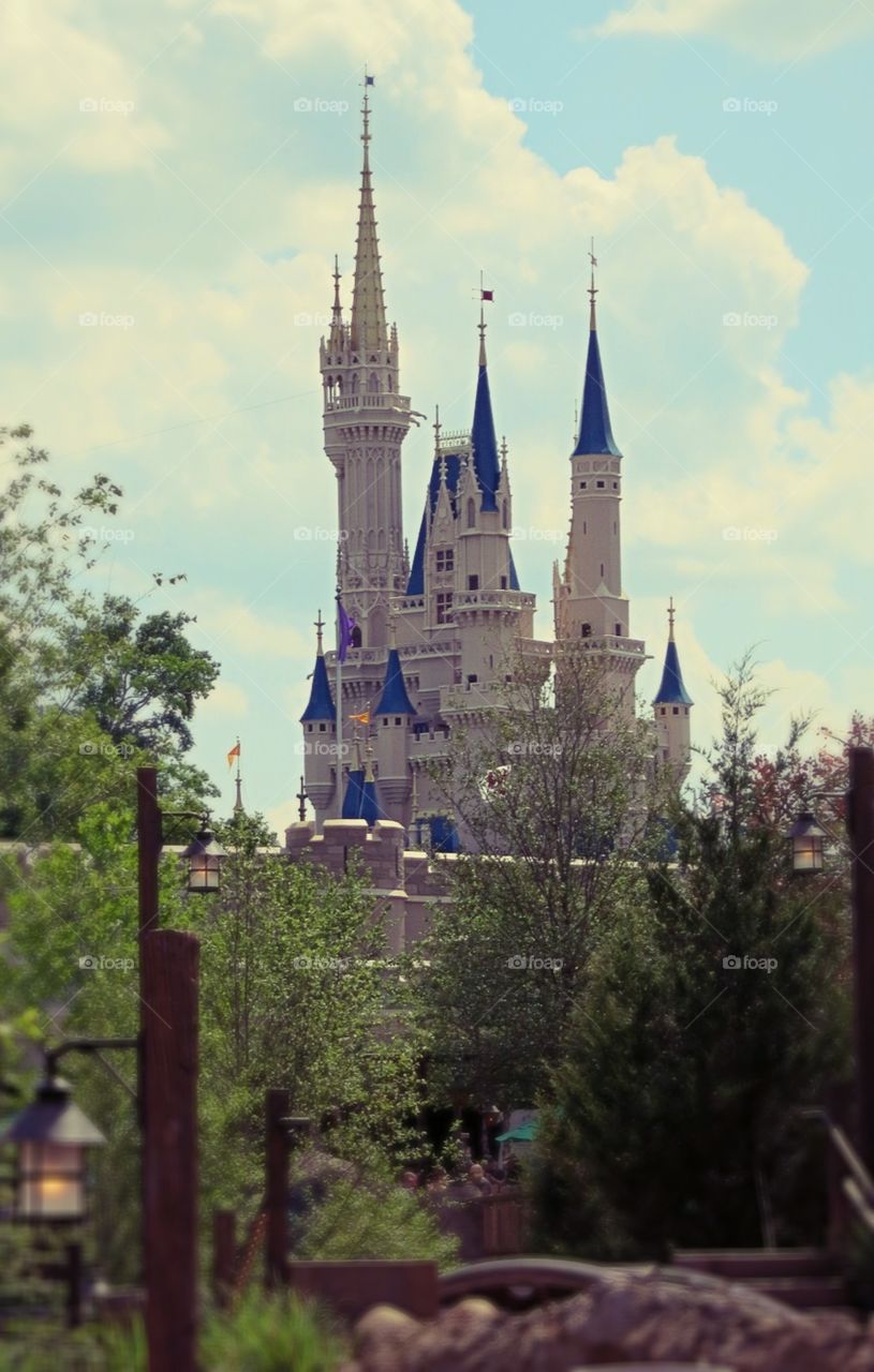 Disney castle. Disney castle 