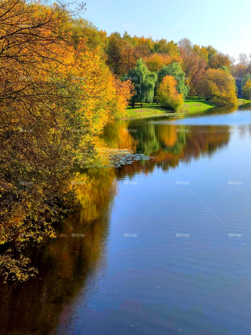 Autumn. River.  Trees grow along the shore.Autumn colorful trees.Reflection of trees in the water