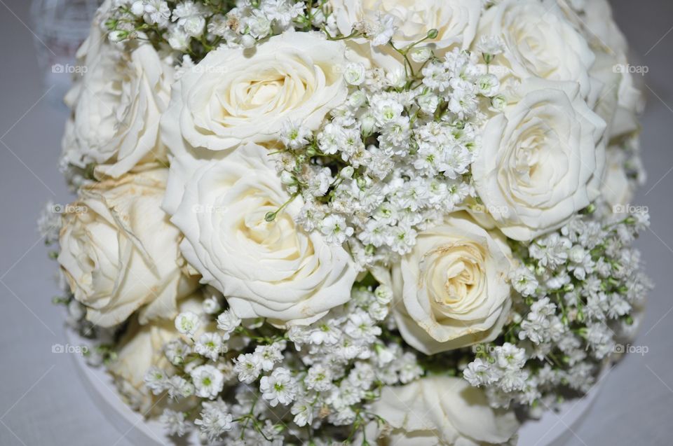 White flowers, roses