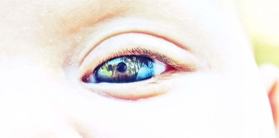 Reflective Properties