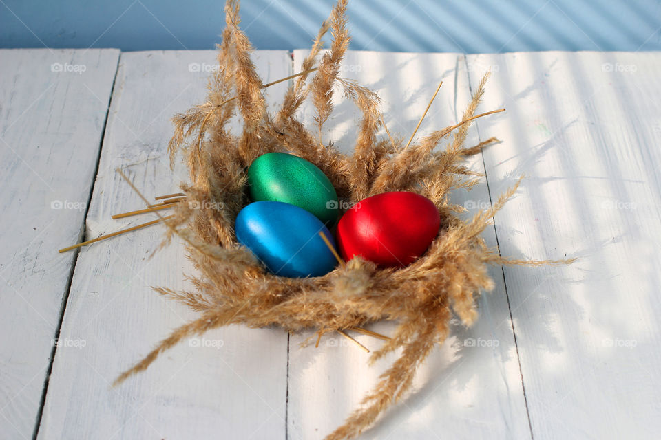 Colored eggs in nest