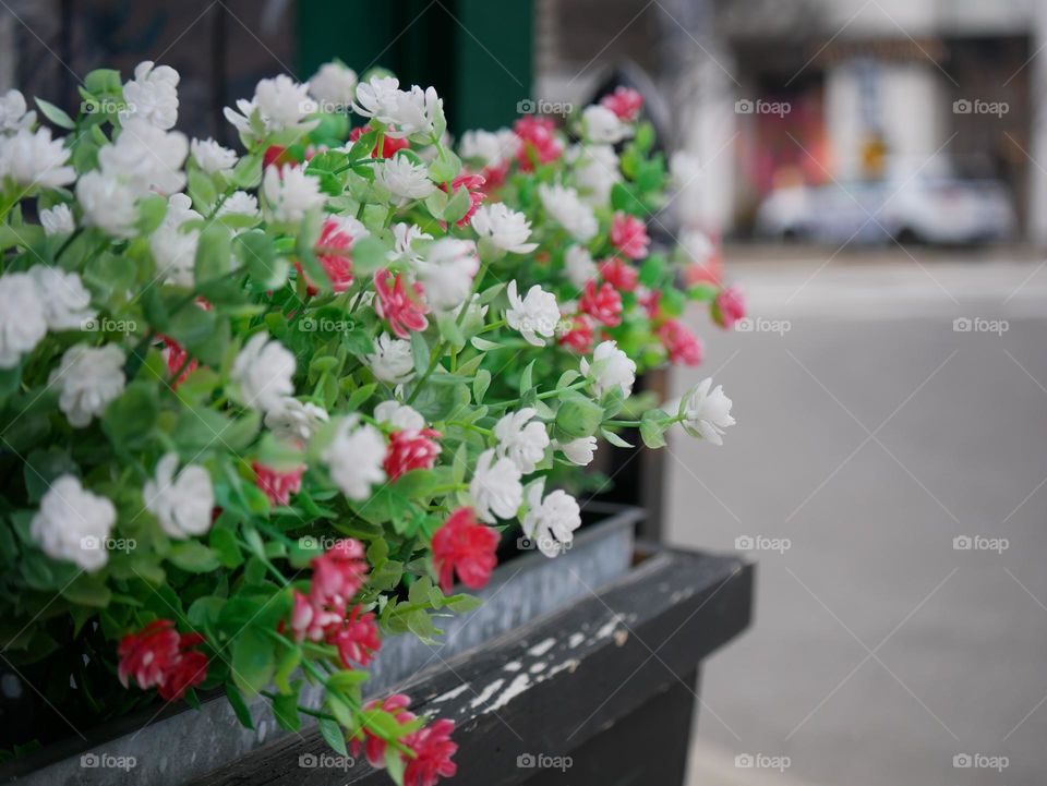 Beautiful fake flowers outside of a local restaurant. 