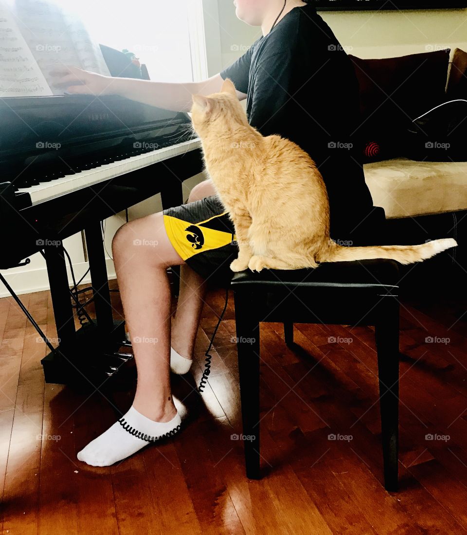 Sitting right next to this boy is right where this orange tabby cat wants to be!! 