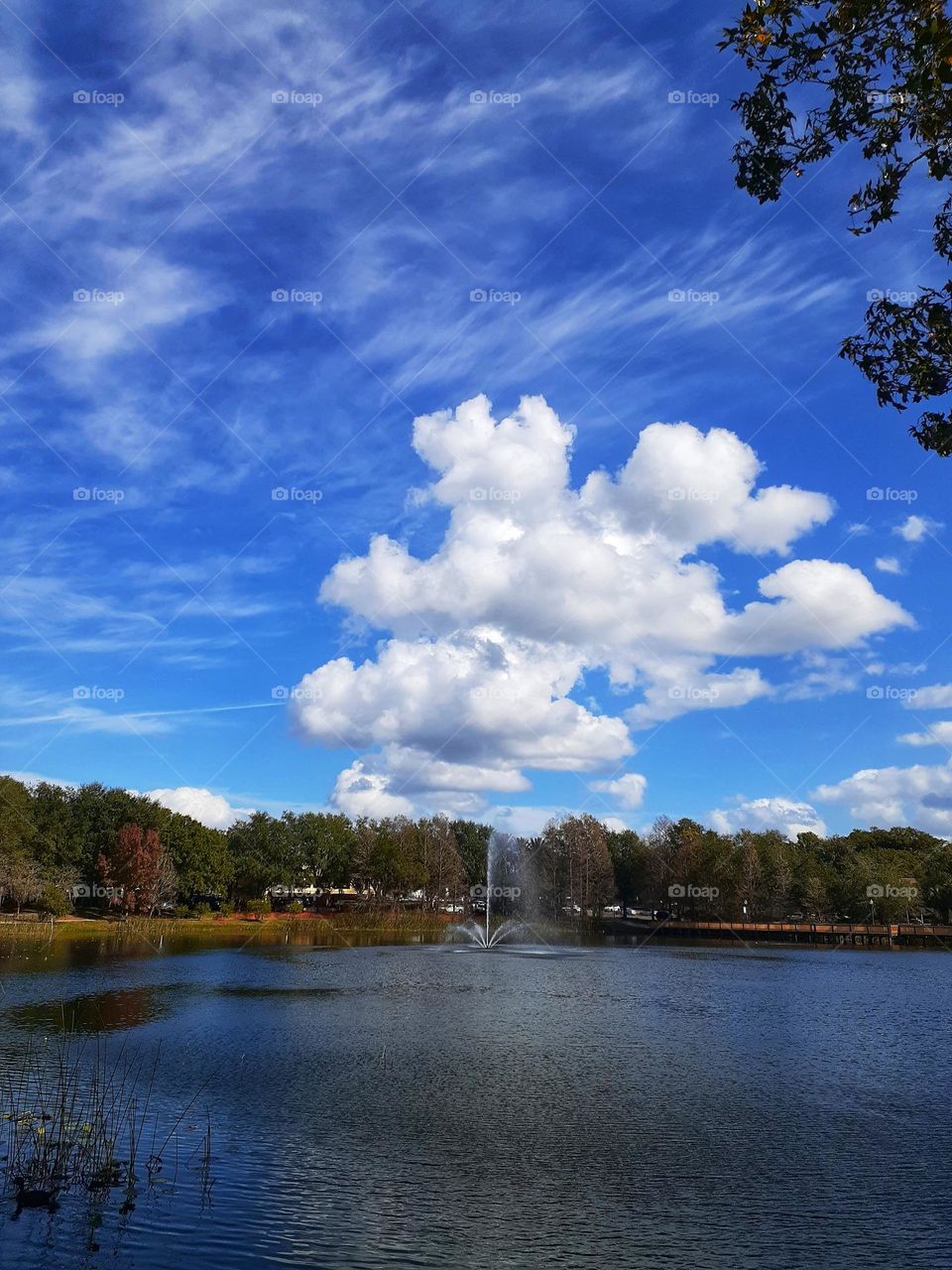 Beautiful white clouds and blue sky above Lake Lily in Maitland, Florida. There is a fountain in the middle of the lake, and trees surround the lake. It is really beautiful.