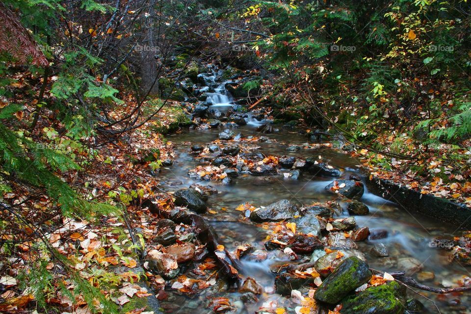 Creek in the fall