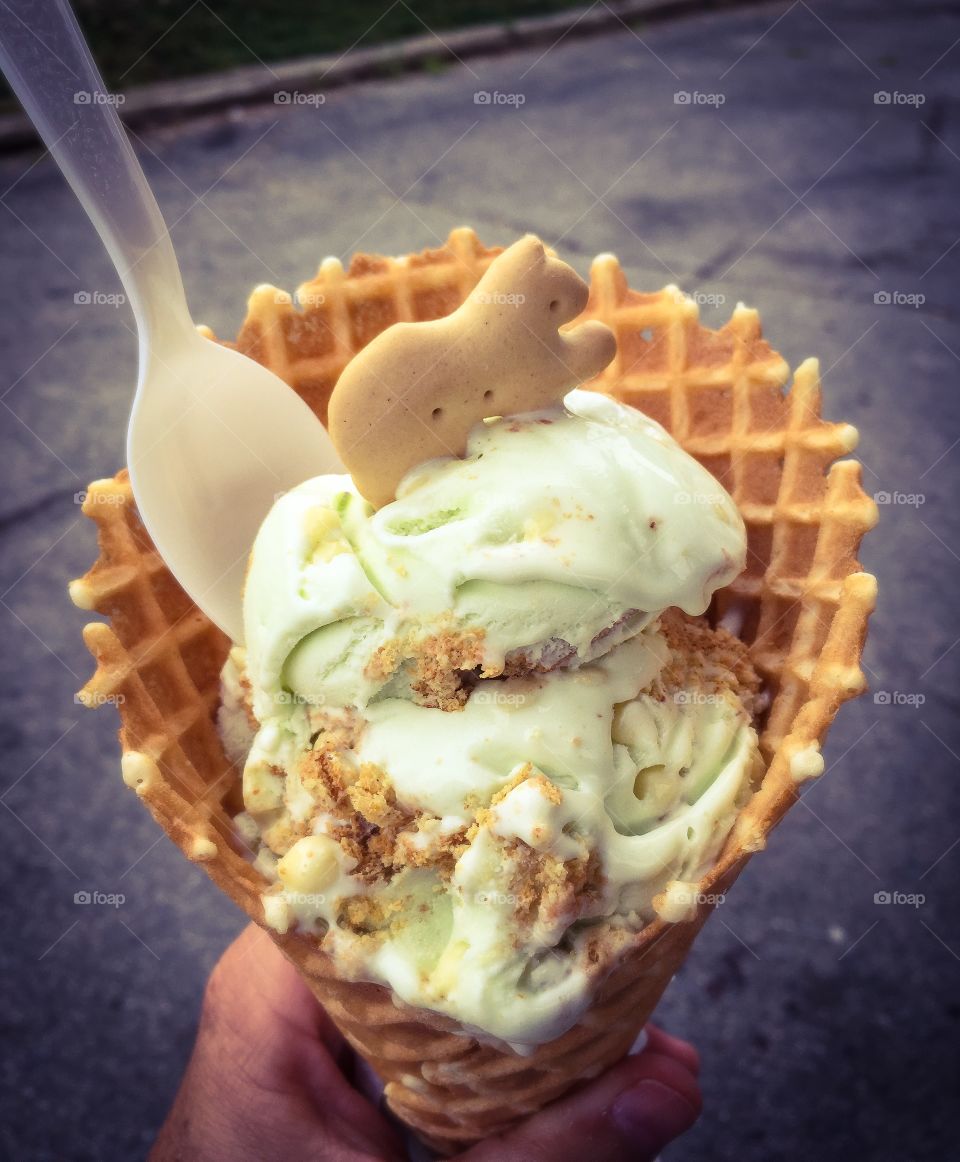 Delicious treat- key lime pie ice cream in a fresh waffle cone and topped with an animal cracker. Easier to eat with a spoon!