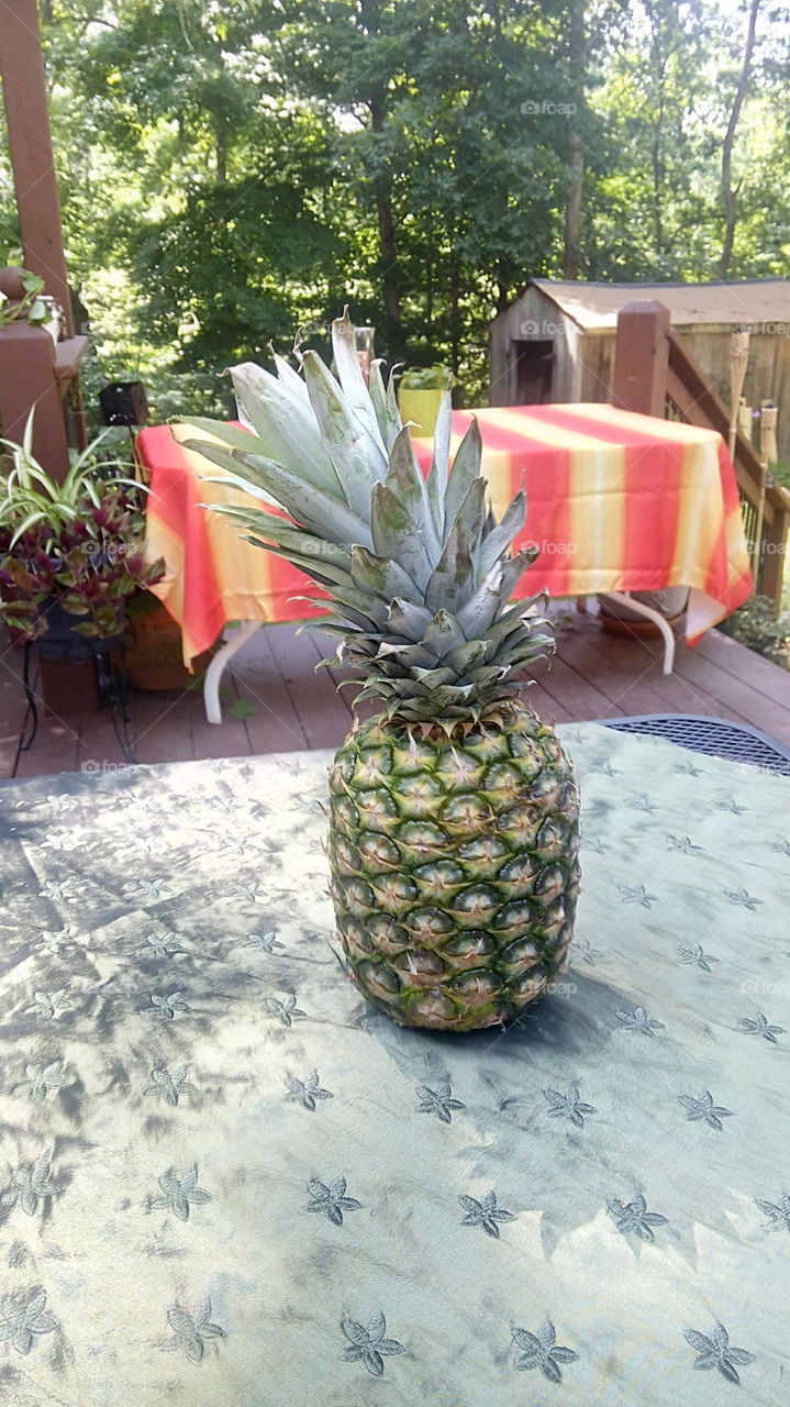 Pineapple. A pineapple getting ready for a party.
