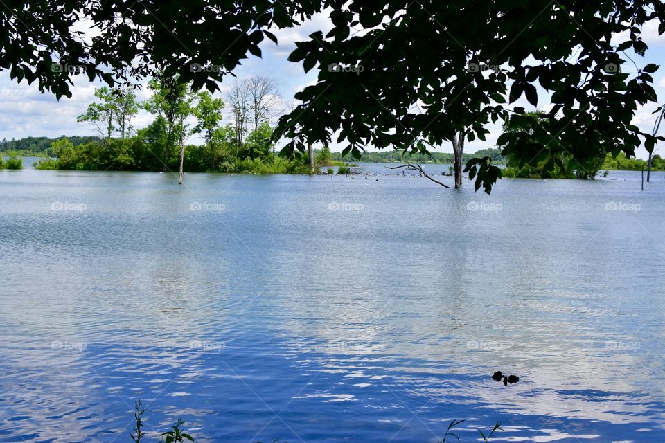 Beautiful lake on a beautiful day in Indiana 