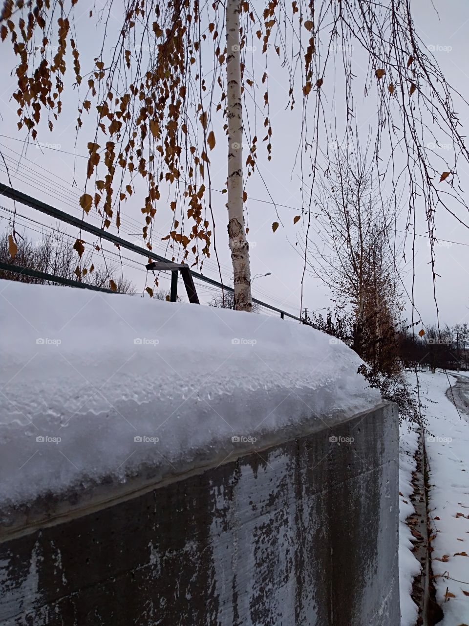 wall covered with snow