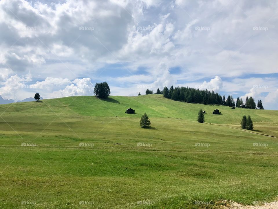 50 shades of green, the beautiful Armentara’s meadows - Italy 2018
