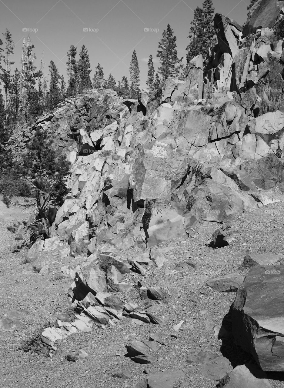 Rocky hillside in Oregon’s forests 