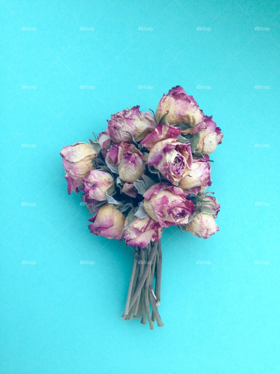 Bouquet of mini roses on blue background 