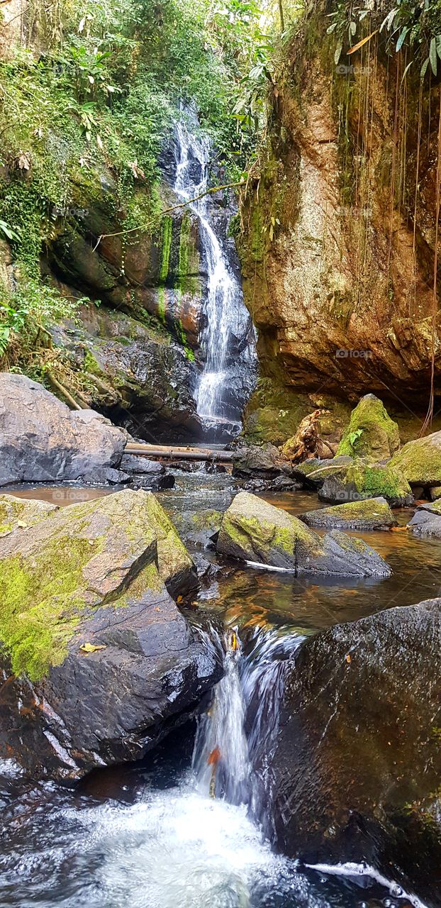 waterfall inside the forest
