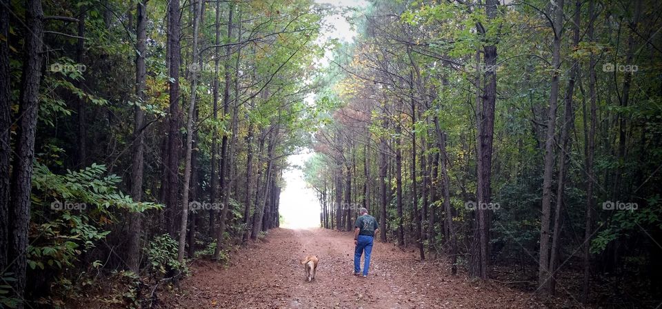 Walking in the forest