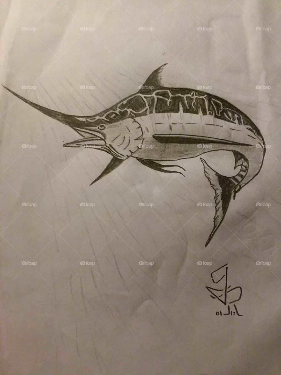 My Pencil Sketch: Sail Fish