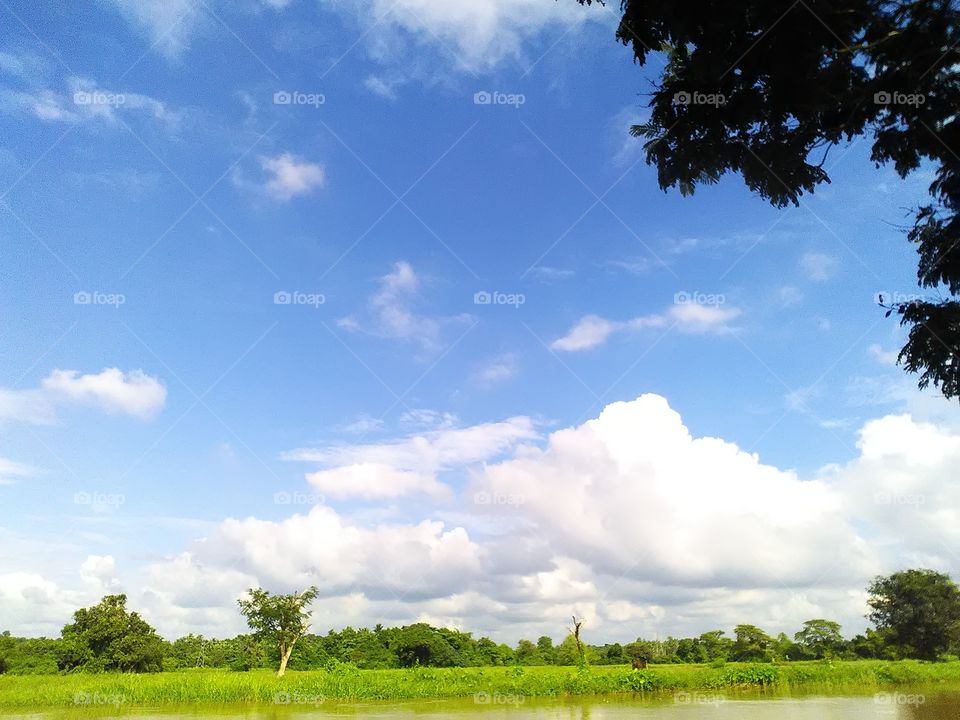 bright sunshine pouring on to the Eye soothing paddy fields  surrounded by the forests and the lake.. What a wonderful day to rejoice and enjoy