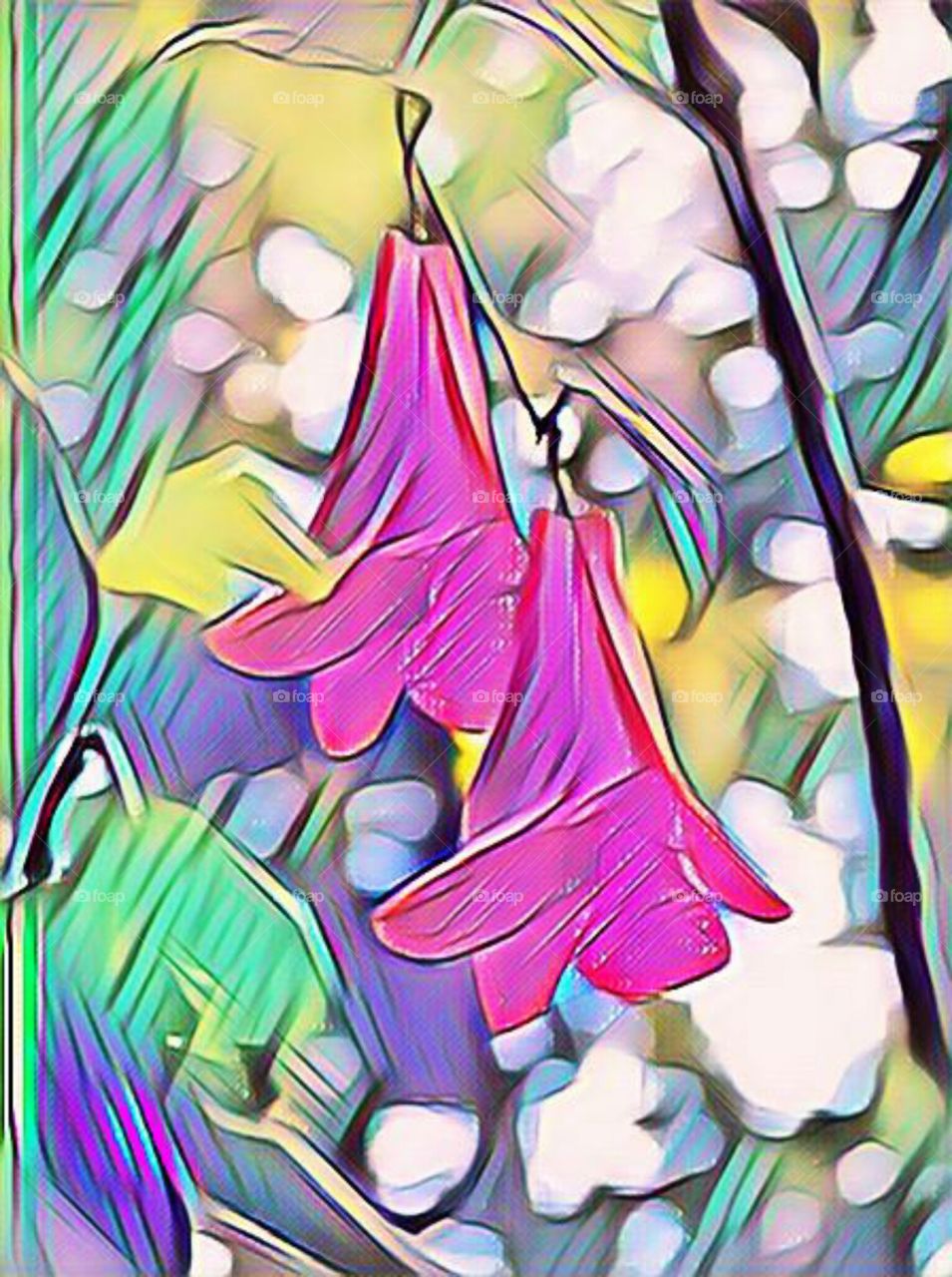 Copihue, the chilean national flower.