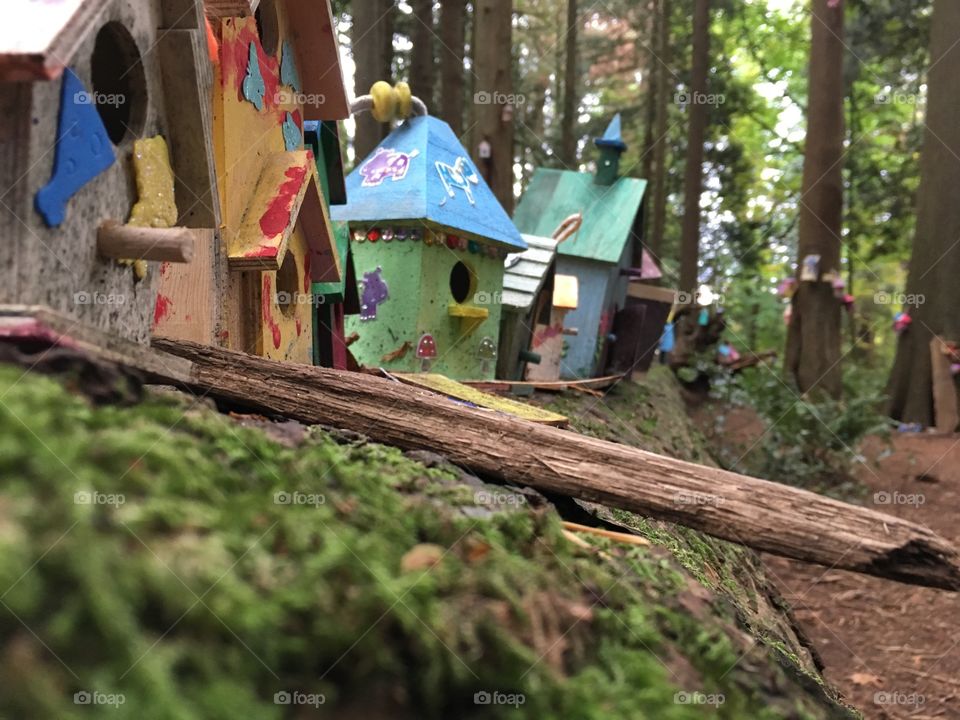 Fairy village