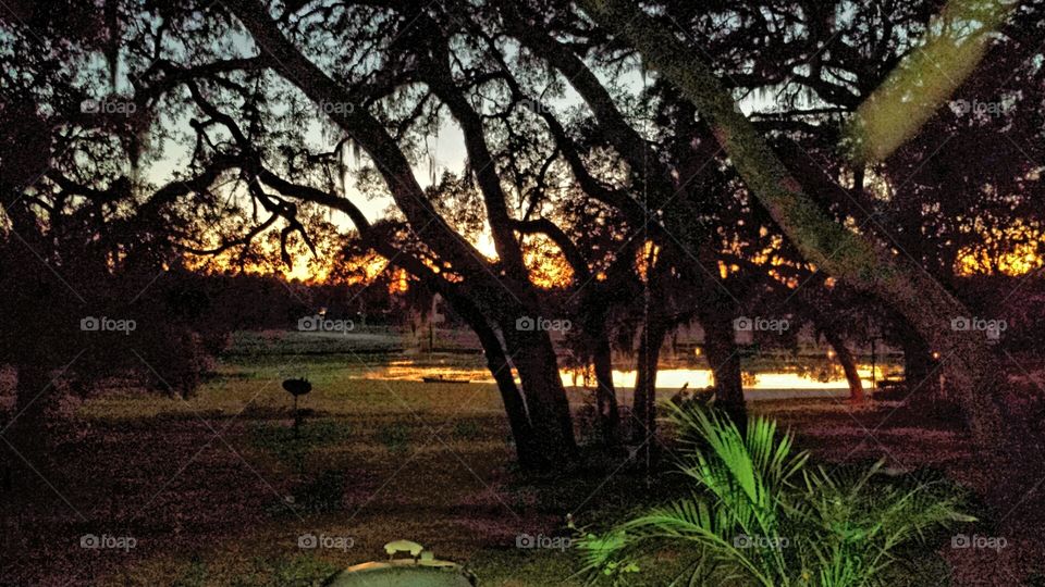 Lakeview from house