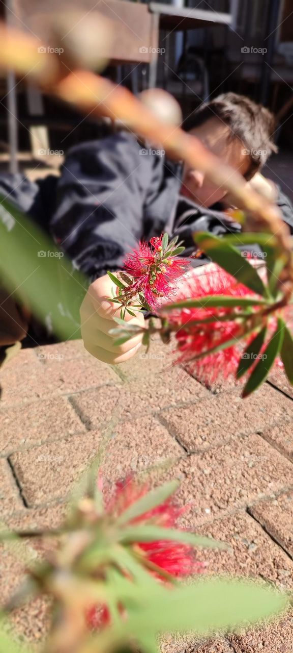 See a child- through a tree view