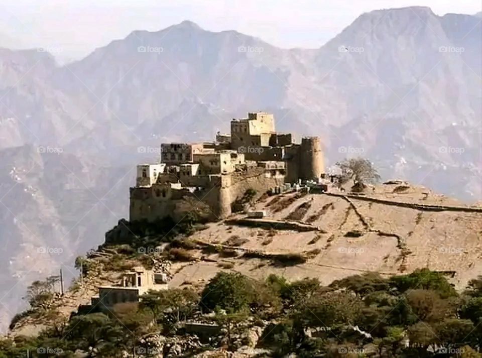 A very beautiful picture, and there is no better picture than it. There is no better picture of green herbs and colorful, red and white roses than it. Glory be to God, the natural and picturesque view, and there is no more